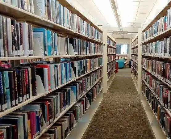 Strefa SOWA z nowymi stanowiskami - nauka, zręczność i nieoczekiwane odkrycia