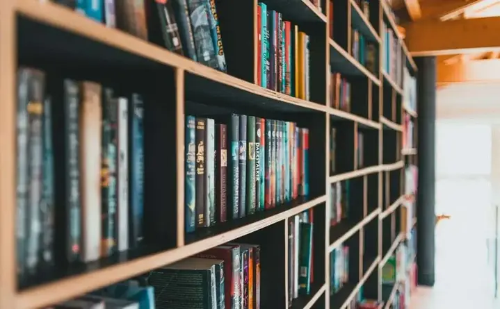 Darmowe materiały przeciw przemocy rówieśniczej - co daje projekt Fundacji Ocelot