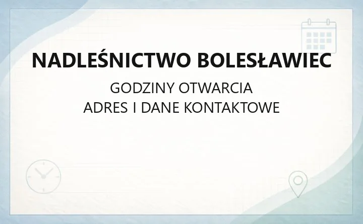 Nadleśnictwo Bolesławiec - kontakt, leśnictwa, drewno opałowe i zasady korzystania z lasu