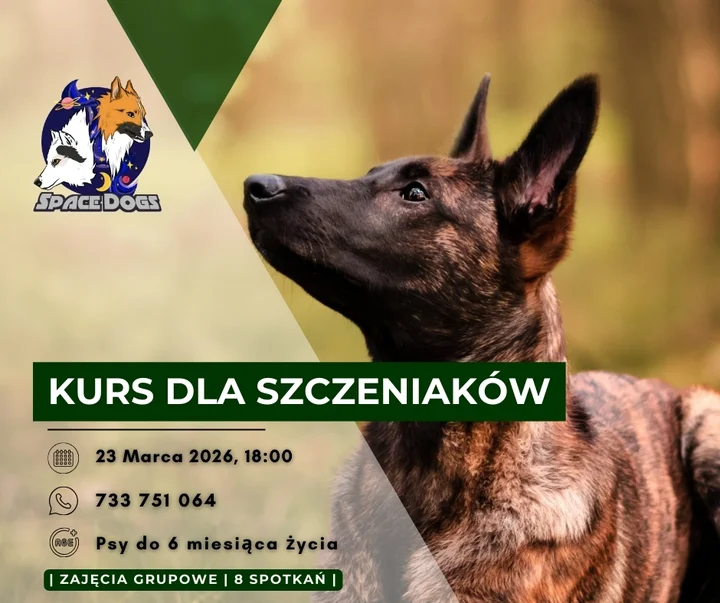 Grafika promocyjna wydarzenia Kurs dla Szczeniaków - Psie Przedszkole Bolesławiec: start 23 marca 2026