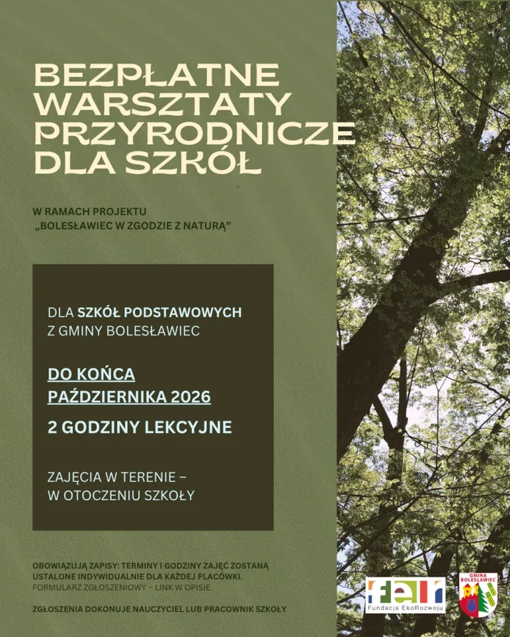 Drzewa zamiast ławek. Szkoły z gminy Bolesławiec mogą zgłosić klasy na bezpłatne warsztaty