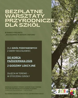 Drzewa zamiast ławek. Szkoły z gminy Bolesławiec mogą zgłosić klasy na bezpłatne warsztaty