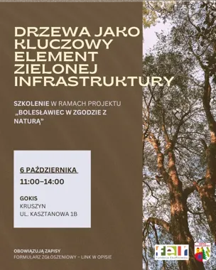 Drzewa pod lupą. W Kruszynie odbędzie się szkolenie o ich ochronie