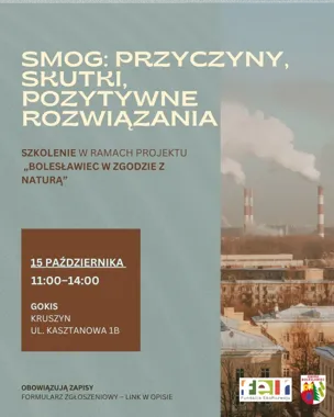 Smog, zdrowie i rachunki za energię. W Kruszynie odbędzie się szkolenie