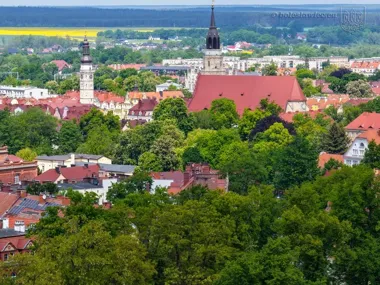 Bolesławiec pod koronami drzew. Zieleń zajmuje niemal każdy zakątek