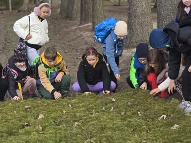 Las bliżej nas. Bolesławieckie dzieci uczyły się przy ognisku i wśród drzew