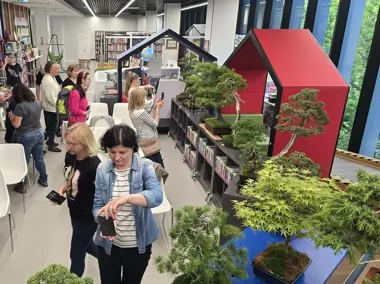 Bonsai w bibliotece przyciągnęło wielu ciekawych. Drzewa wymagają cierpliwości