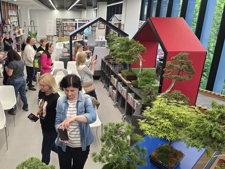 Bonsai w bibliotece przyciągnęło wielu ciekawych. Drzewa wymagają cierpliwości