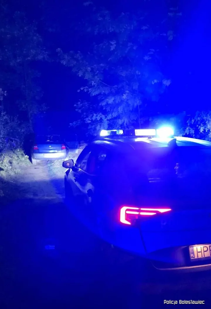 Gwałtowny zjazd na drogę szutrową. 32-latka bez uprawnień