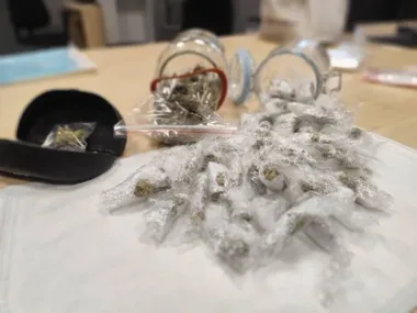 Marihuana pod poduszką i w etui - matka i syn z zarzutami w Bolesławcu